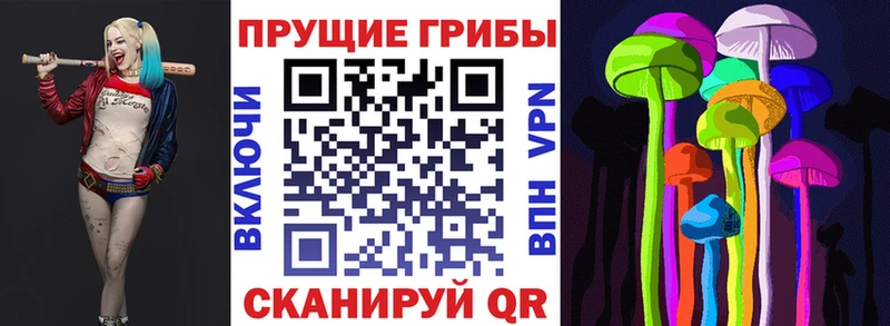 Галлюциногенные грибы Cubensis Гороховец